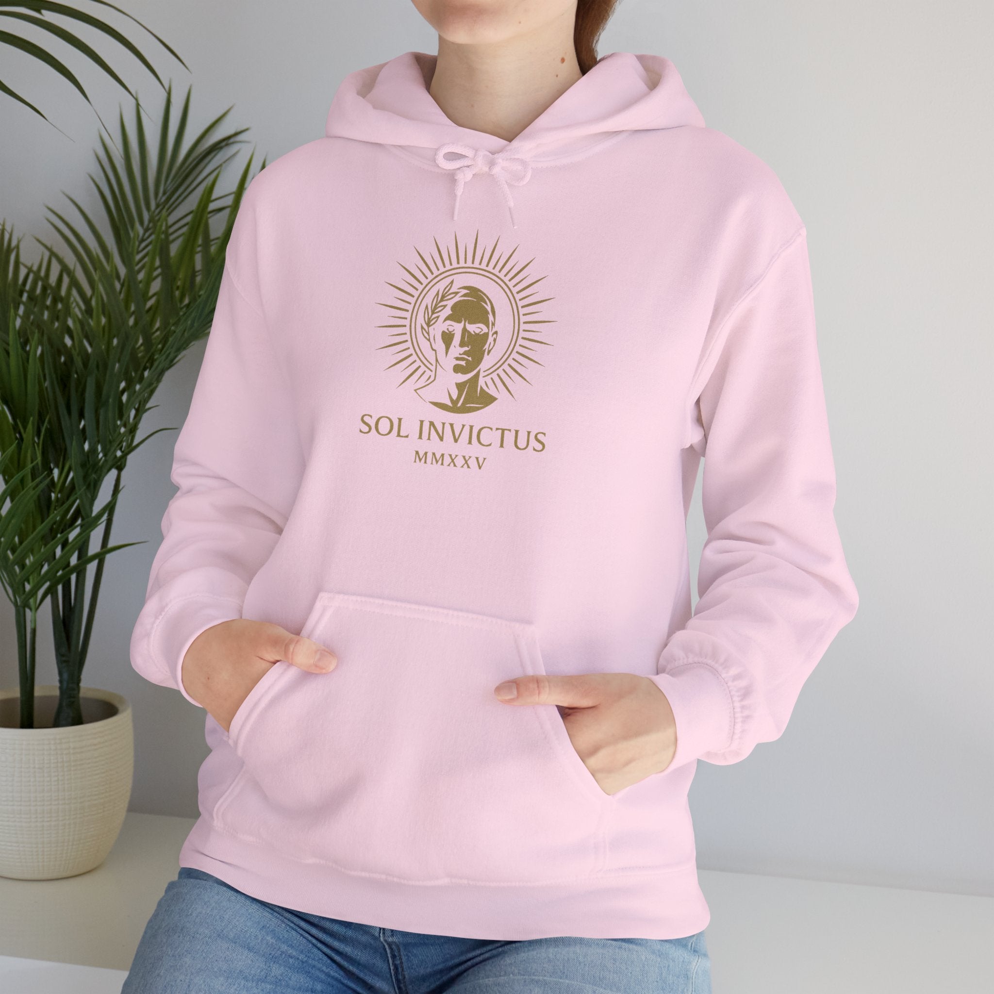 Sol Invictus Hoodie