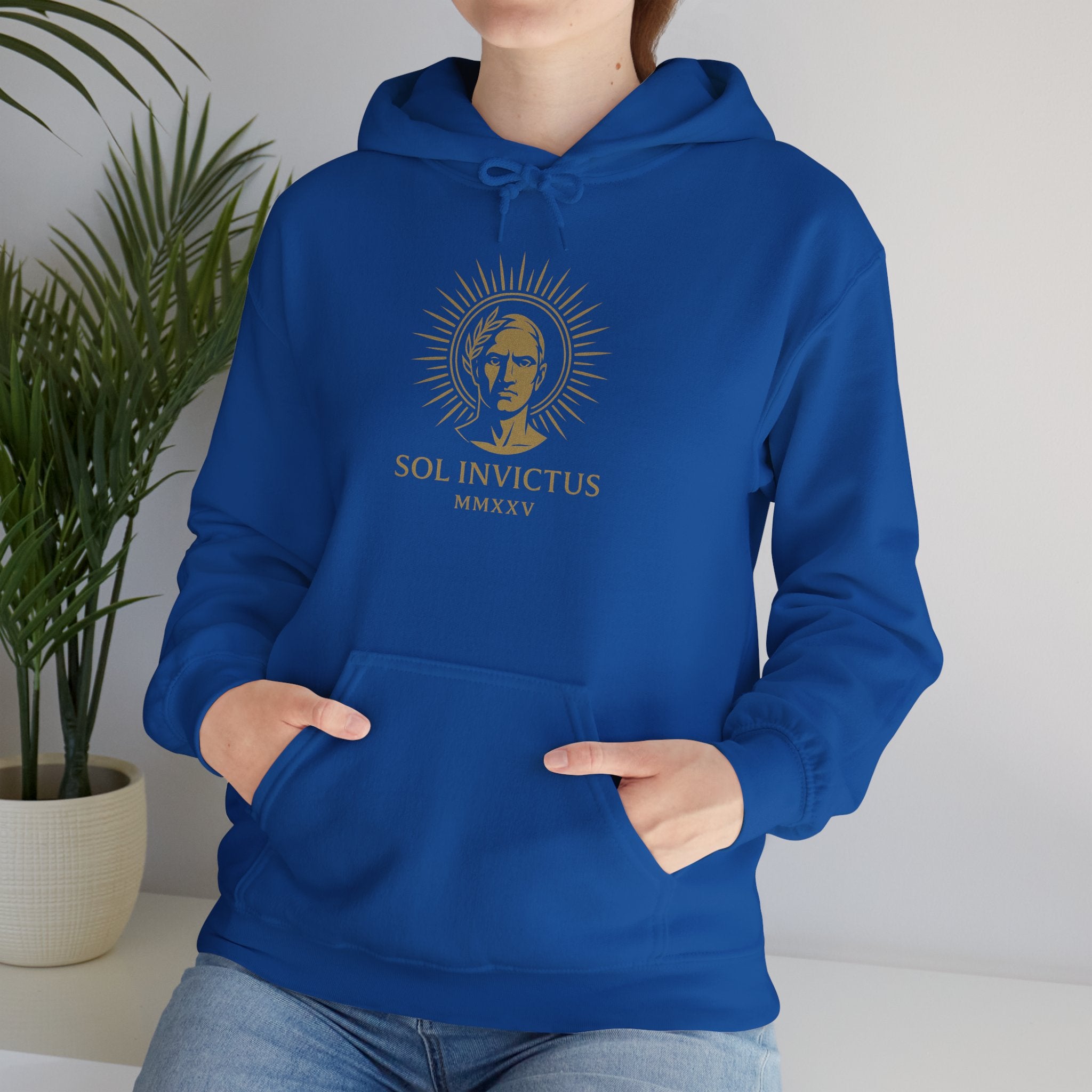 Sol Invictus Hoodie