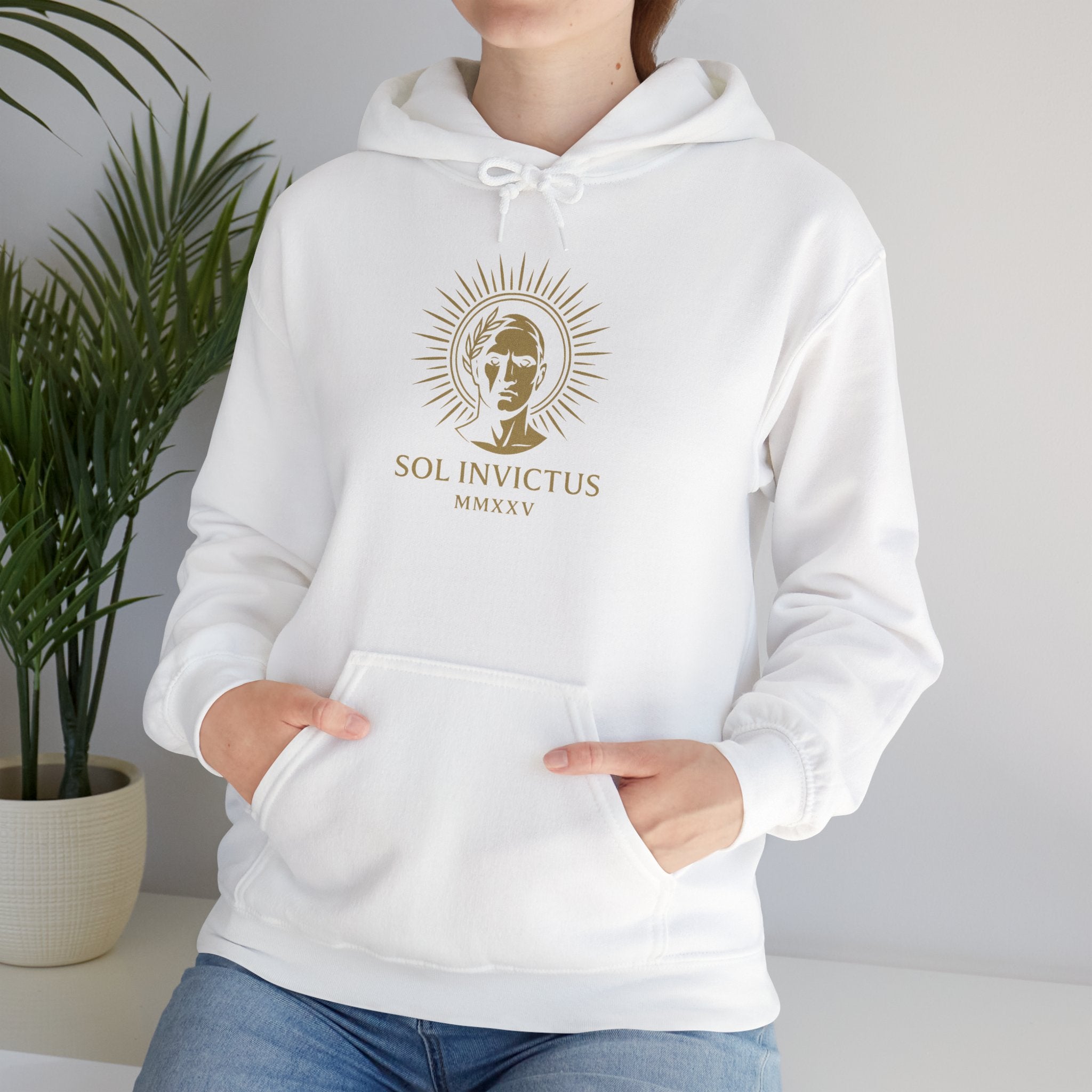 Sol Invictus Hoodie