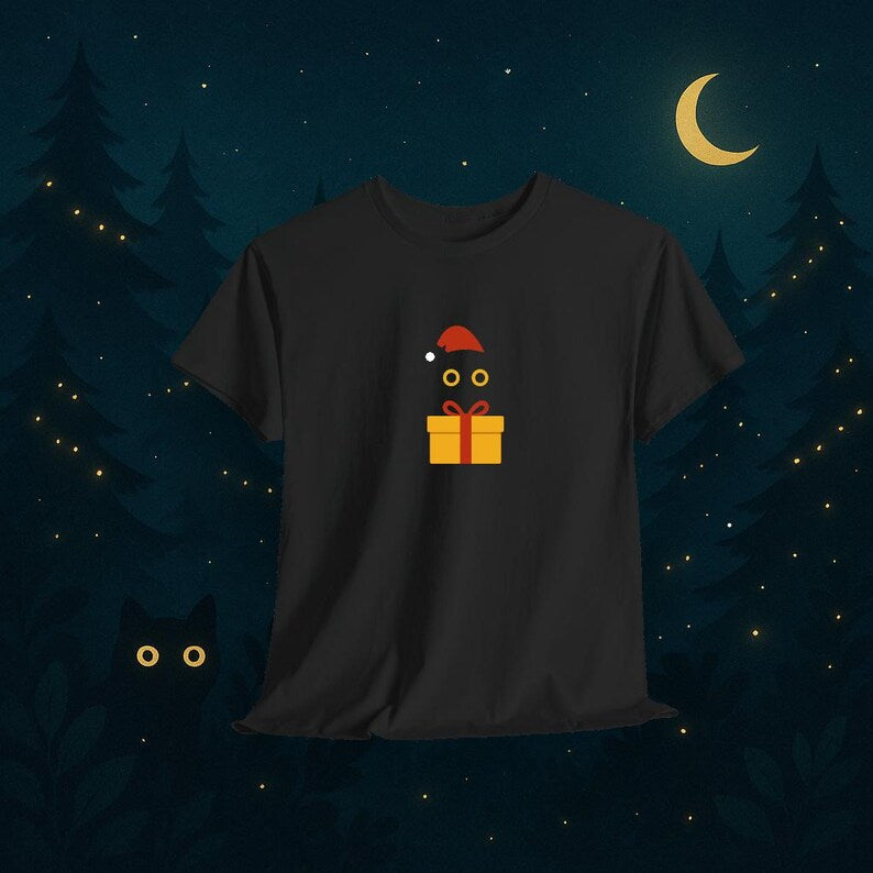 Black Cat In Christmas Present