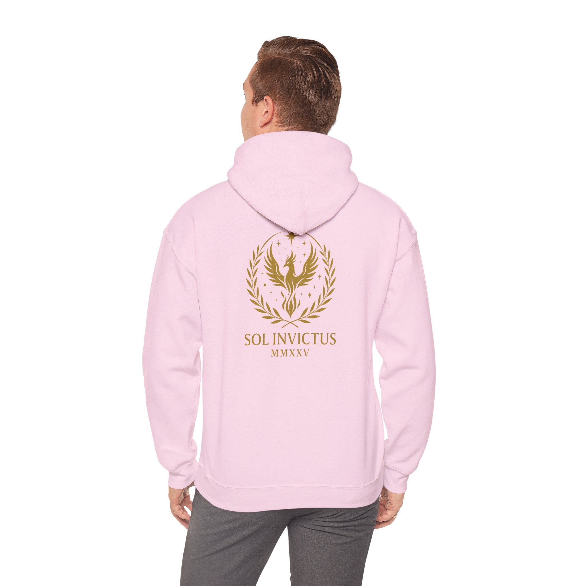Sol Invictus Hoodie