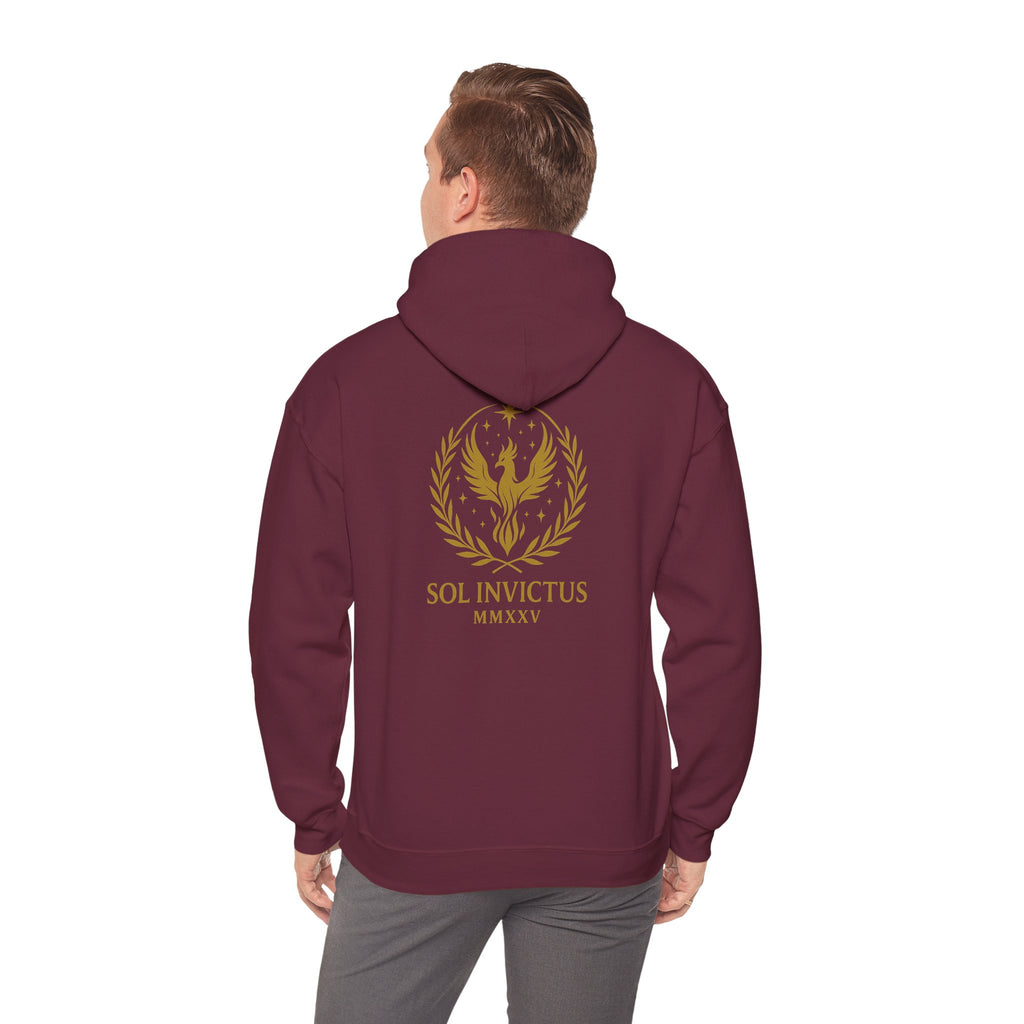 Sol Invictus Hoodie