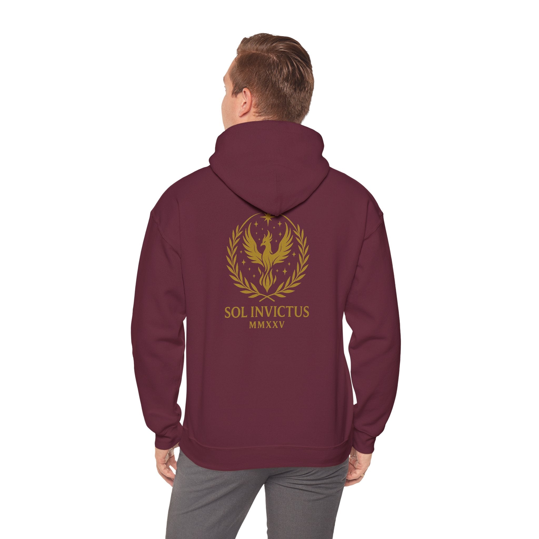 Sol Invictus Hoodie
