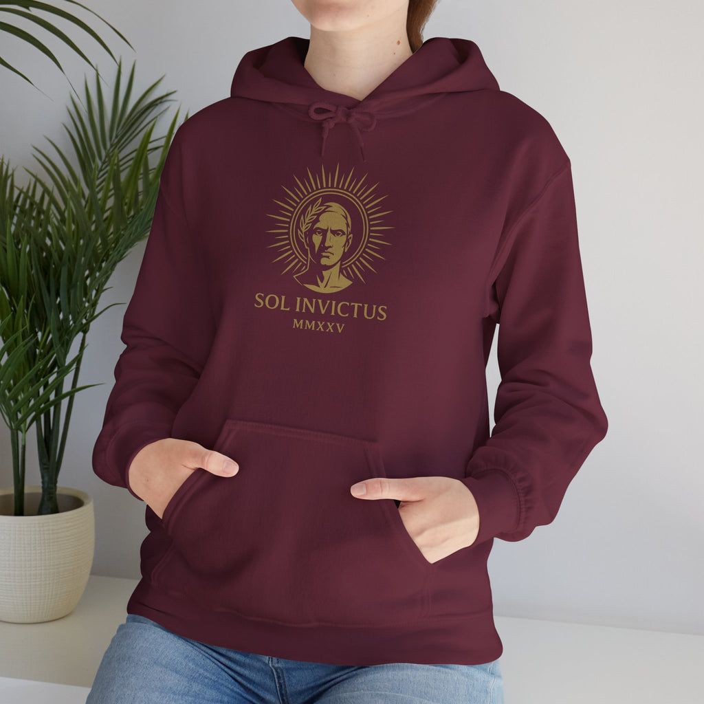 Sol Invictus Hoodie